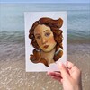 Logo of telegram channel venus_alinus — Venus Alinus