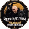 Telegram channel Черные псы и лысый мексиканец logo