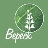 Логотип телеграм канала @veresklandshaft1 — Вереск мастерская ландшафтов🌿