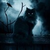 Логотип телеграм канала @vereskstrashnyhistory — ВЕРЕСК. Страшные истории.