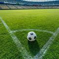 Logo of telegram channel verifiedintel — EXACT SCORE FIXED MATCHES BET365 ⚽