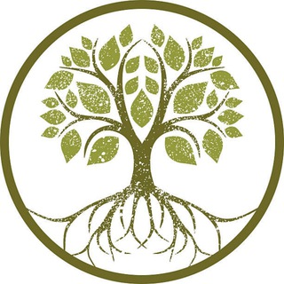 Logo de la chaîne télégraphique veritediffusee - La Vérité Diffusée