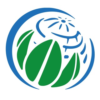 Логотип телеграм канала @vernadskyfond — Фонд им. В.И. Вернадского