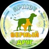 Логотип телеграм канала @verniy_drug — ВЕРНЫЙ ДРУГ