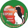 Логотип телеграм канала @vernoeserdce_fokino — "Верное сердце" Фокино