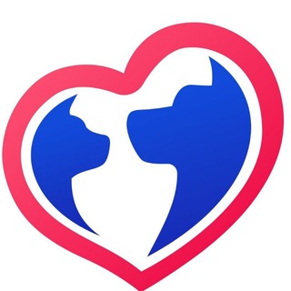 Логотип телеграм канала @vernosttv — Приют для животных «Верность» | ВЕРНОСТЬ ТВ🐈🐕