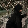 Логотип телеграм канала @veronn_qq — верон?