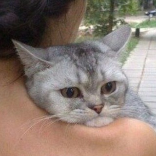 Логотип телеграм канала @vers_45 — prince of the sadness