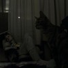 Логотип телеграм канала @verscharrrt — Verscharrt und Ungerühmt