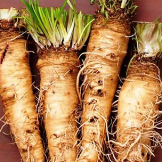 Логотип телеграм канала @vershki_i_koreshki — Вершки и корешки