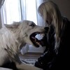 Логотип телеграм канала @verz3z — vēřz