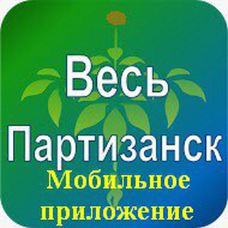 Логотип телеграм канала @ves_partizansk — Весь Партизанск