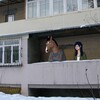 Логотип телеграм канала @vesezhe — vszh