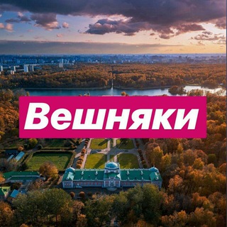Логотип телеграм канала @veshnyaki_online — Вешняки