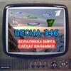 Telegram channel Vesna zayavka logo