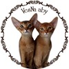 Логотип телеграм канала @vesna_aby — Питомник абиссинских кошек VesNa_aby
