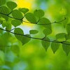 Логотип телеграм канала @vesna_spiker — 🎙ВДА "Весна". Спикерские ☀️🌿💐