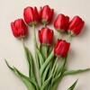 Логотип телеграм канала @vesnaura5 — 🌷Донияграм •Пространство творческих челленджей и вдохновения