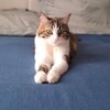 Логотип телеграм канала @vesta_piter — Веста и Компания😊
