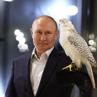 Логотип телеграм канала @vesti_r — Вести 🇷🇺 Z