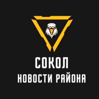 Логотип телеграм канала @vestisokola — Вести Сокола