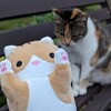 Логотип телеграм канала @vesty_ilya — Вести Илья