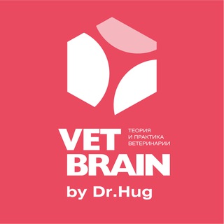 Логотип телеграм канала @vet_brain — Vet Brain