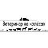 Логотип телеграм канала @vet_bez_granic — Vet_bez_granic