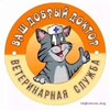 Логотип телеграм канала @vetcatd — ⚡️Советы ветеринара🐈