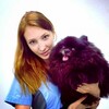 Логотип телеграм канала @vetdoc_maslova — Ветеринарный стоматолог Екатерина Маслова