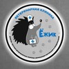 Логотип телеграм канала @vetejik — Ветеринарная клиника «Ёжик»