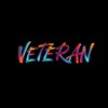 Логотип телеграм канала @veterantt7 — VETERAN