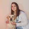 Логотип телеграм канала @veterinar812 — Ветеринар Бубликова Юлия