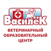Логотип телеграм канала @veterinarschool — VeterinarSchool