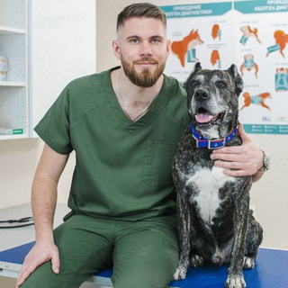 Логотип телеграм канала @veterinary_surgery_msk — VETERINARY_SURGERY