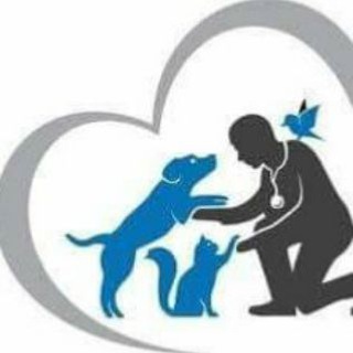 Logo of telegram channel veterinaryebook — Veterinary Books in PDF Form