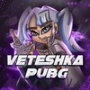 Логотип телеграм канала @veteshka_shop — VETESHKA SHOP