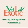Логотип телеграм канала @vetexotic — VetExoticOmsk