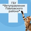 Логотип телеграм канала @vetpavlovskaya — ГБУ «Ветуправление Павловского района»