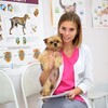 Логотип телеграм канала @vetpodrezova — Vet.Podrezova