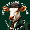 Логотип телеграм канала @vetvatson — Ветеринарно, Ватсон!