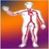 Логотип телеграм канала @vevascular — Общество Сосудистых и Эндоваскулярных Хирургов.
