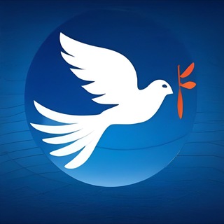Логотип телеграм канала @vexspress — Вестник-Экспресс 🕊