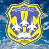 Логотип телеграм канала @vfbsaa — Военный факультет в УО "БГАА"
