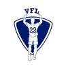 Логотип телеграм канала @vfl2022 — VFL2022