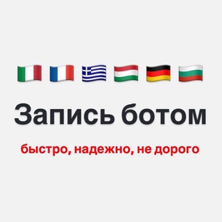 Логотип телеграм канала @vfsglobal_com — VFSGLOBAL - запись БОТОМ Франция