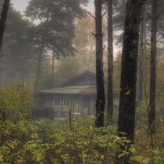 Логотип телеграм канала @vglush — Вглушь