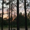 Логотип телеграм канала @vgvere — в гвере любят