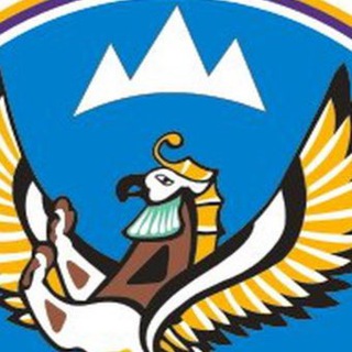 Логотип телеграм канала @vibaltay — Грифон видит ВСЁ!