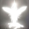 Logo of telegram channel vibekilla_slatt — vibekilla